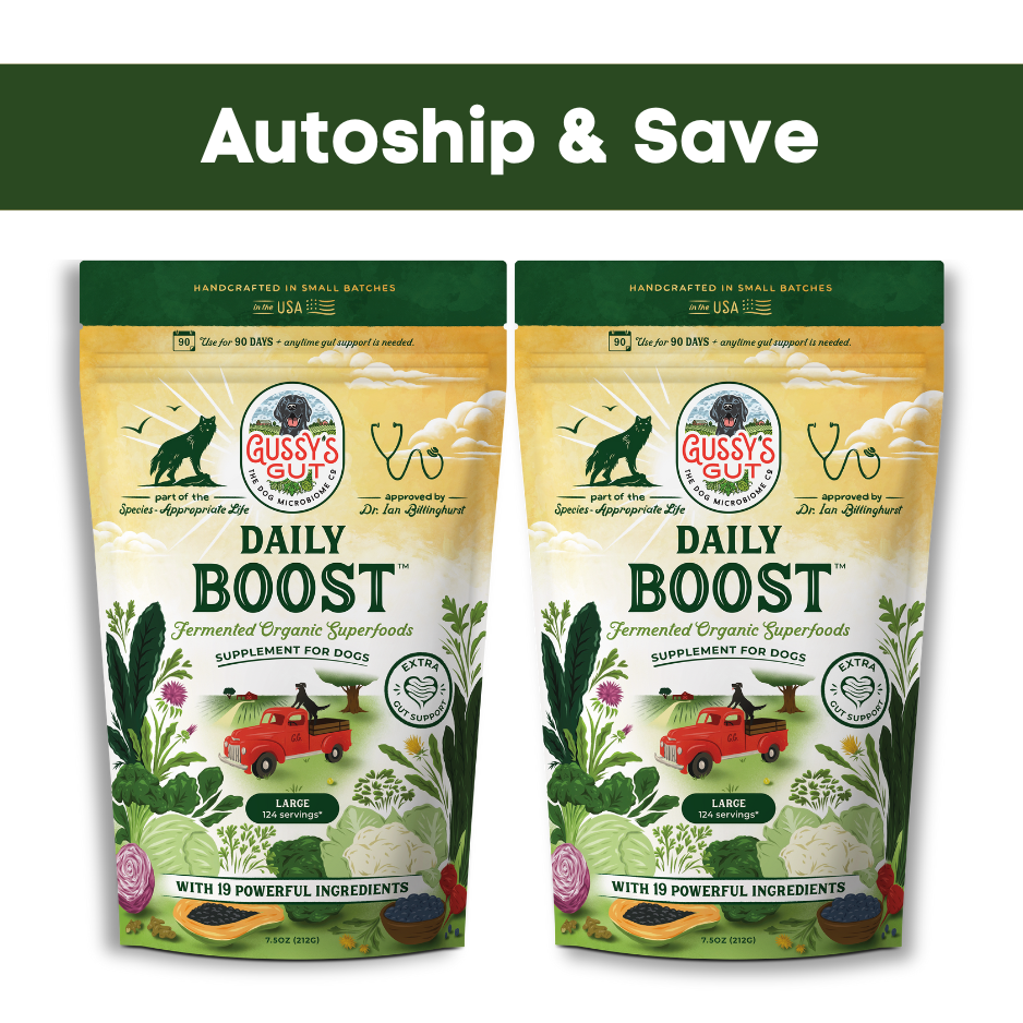 2x Boost™