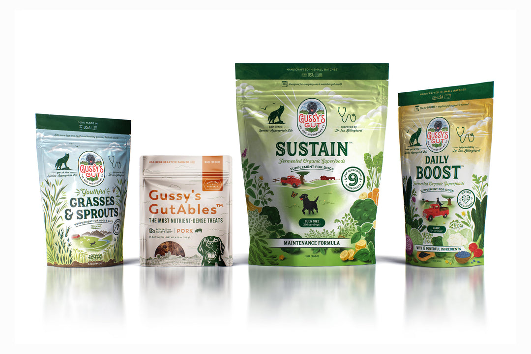 Assorted organic fermented dog supplements and treats in colorful packaging, promoting gut health and overall wellness.