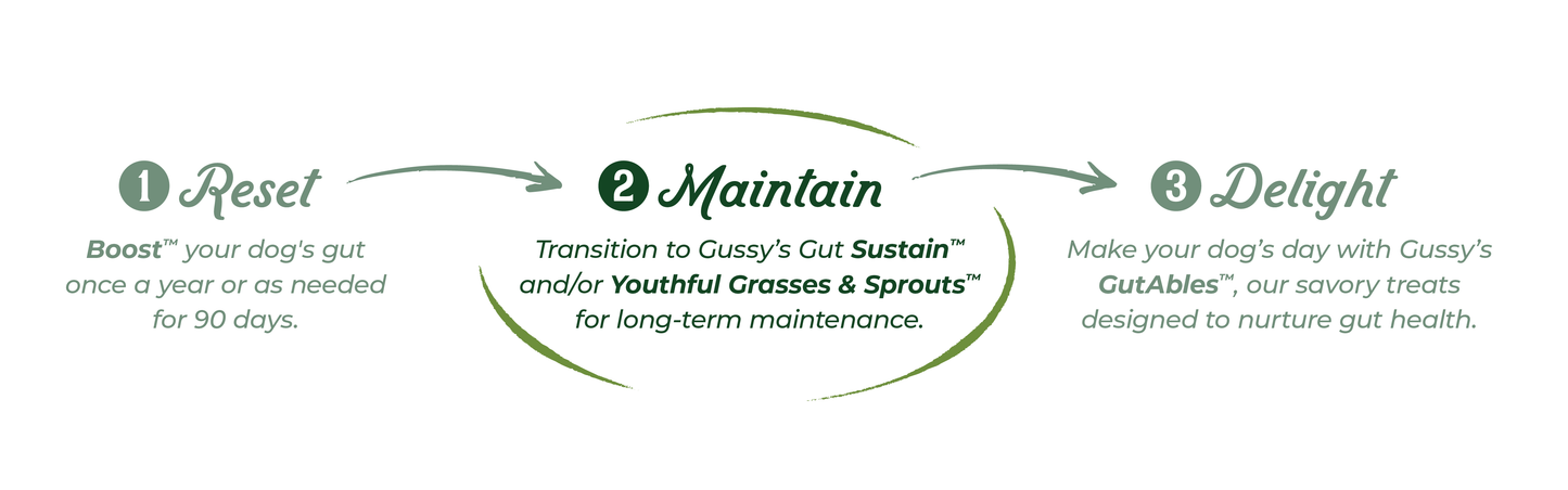 Gussys Gut