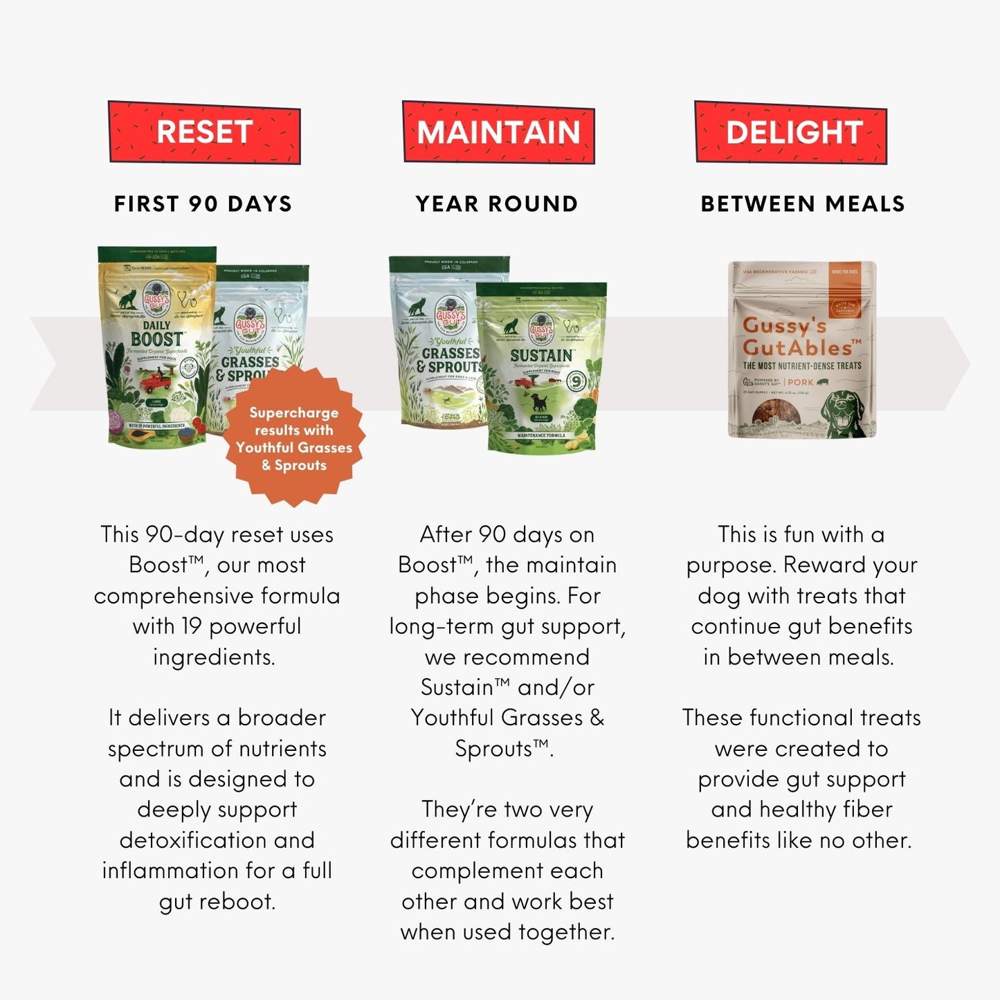 Overview of Gussy's Gut 30 Day Protocol featuring Boost, Sustain, and Gutables for dog gut health and wellness.