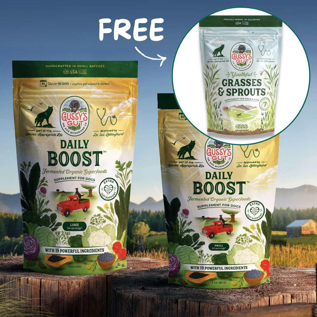 Gussy's Gut Reset Bundle featuring Daily Boost superfood bags for dogs, highlighting a free Youthful Grasses & Sprouts pack.