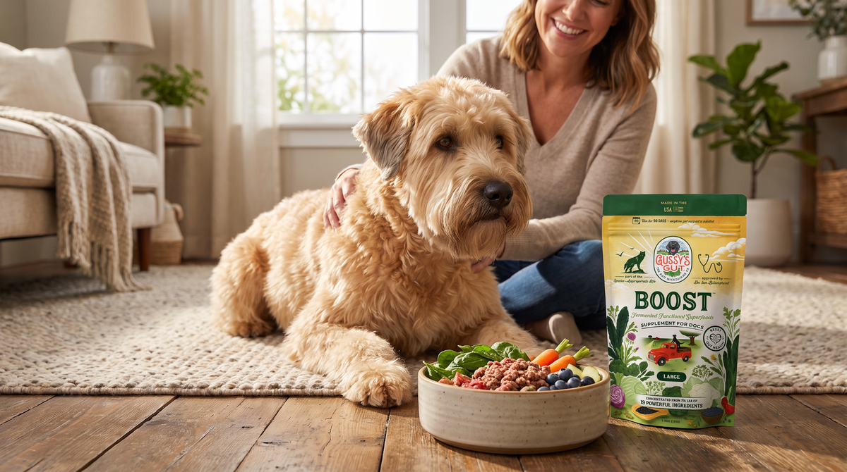 Is Gussy's Gut Right for a Dog With a Diagnosed Condition?