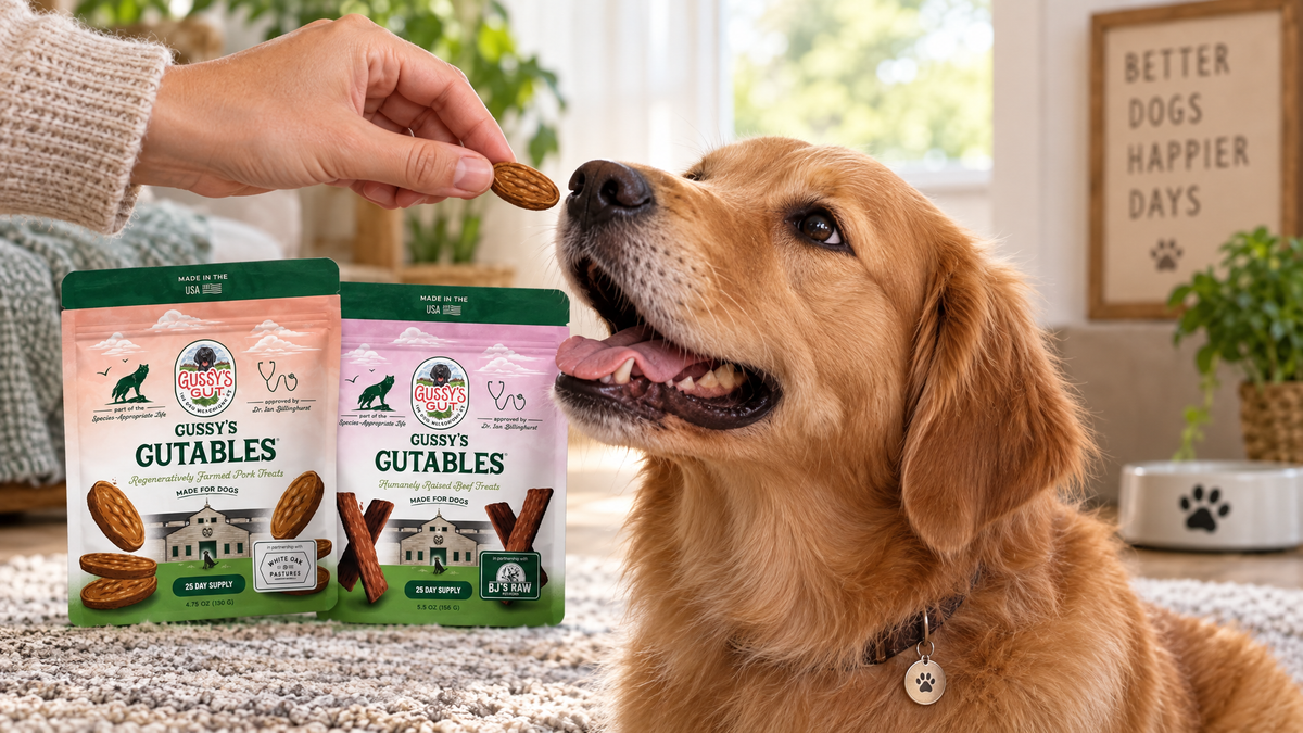GutAbles: The Between-Meal Treat That Works With the System