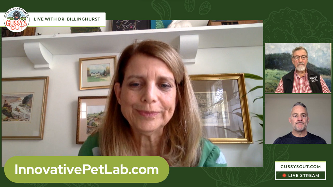 1 How Can You Assess Your Dog's Gut Microbiome Health - Dr. Betsy Redmond - Dr. Ian Billinghurts - Rob Ryan Gussy's Gut