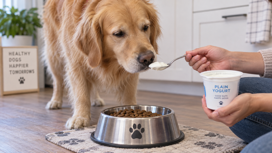 Is Yogurt Good for Your Dog's Gut? The One Thing You Might Be Missing in Your Dog's Bowl