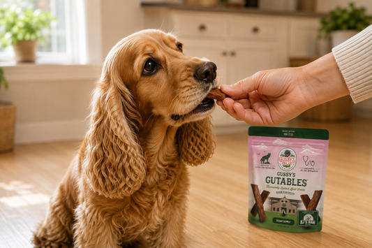 Manuka Honey for Dogs: What the Research Actually Supports