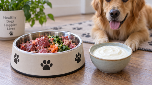 Is Yogurt Good for Dogs? A Look at Dairy and the Gut