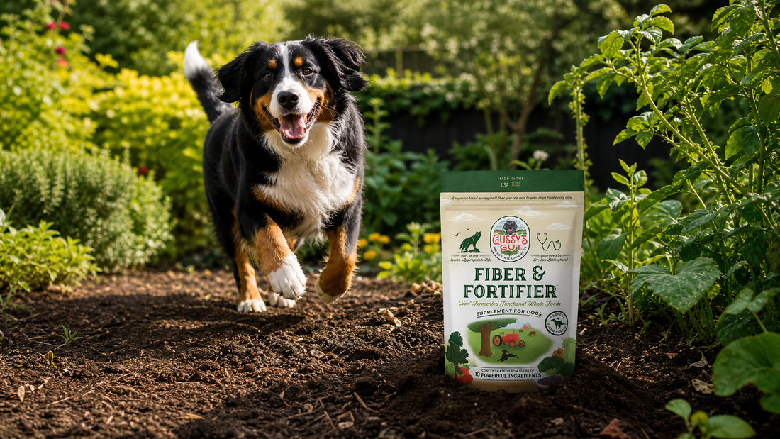 Meet Fiber & Fortifier: The Work the Soil Powder