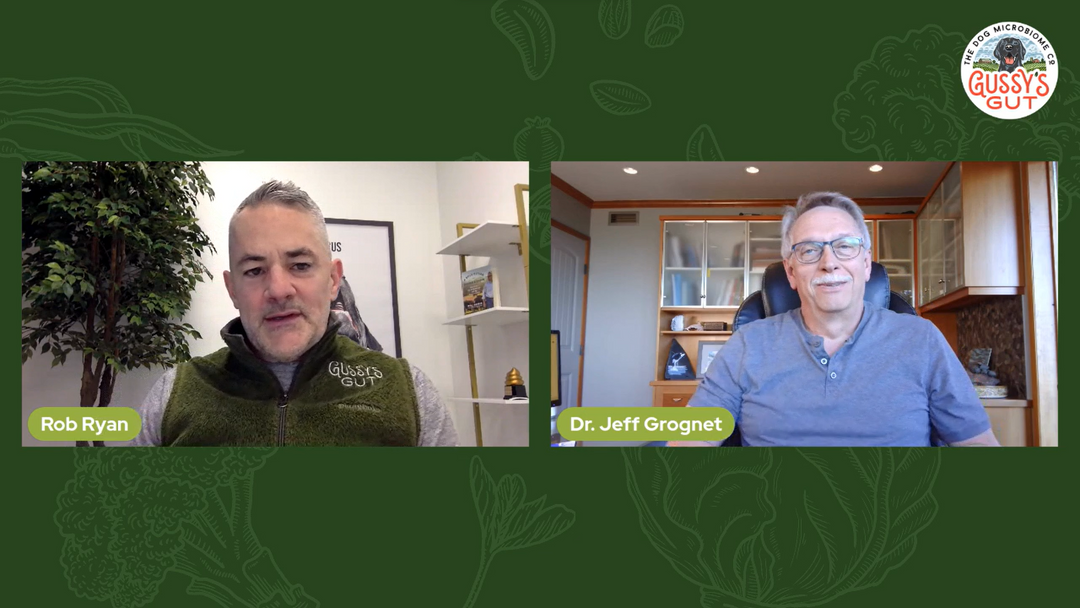 Dr. Jeff Grognet on Vaccine Safety and Dog's Health - A Holistic Vet Tips with Rob Ryan | Gussy's Gut