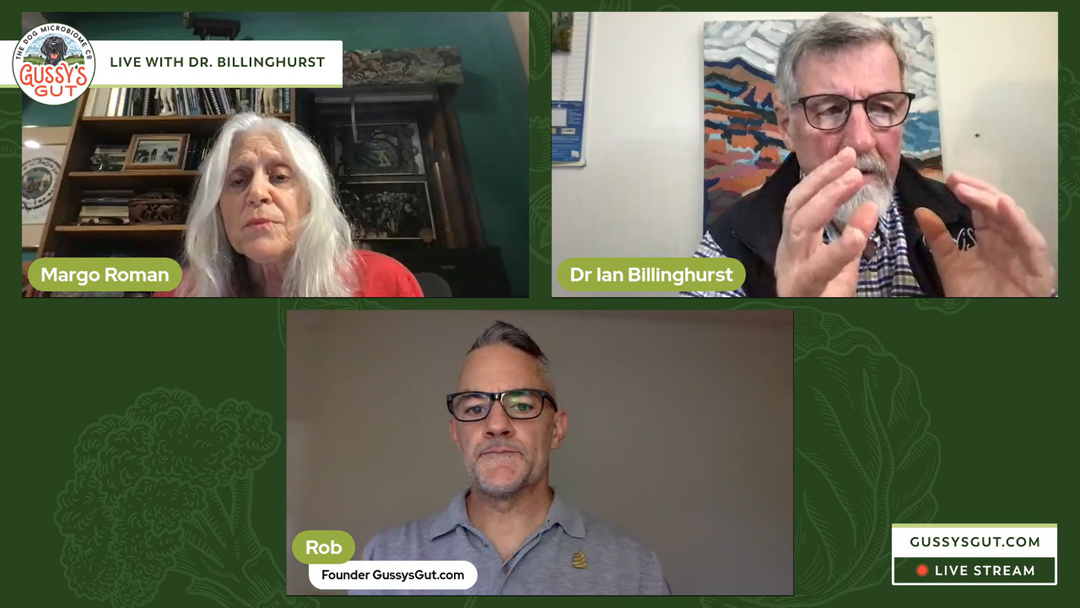 Dr. Margo roman, Dr. Ian billinghurst, Rob Ryan - Gussy's Gut 