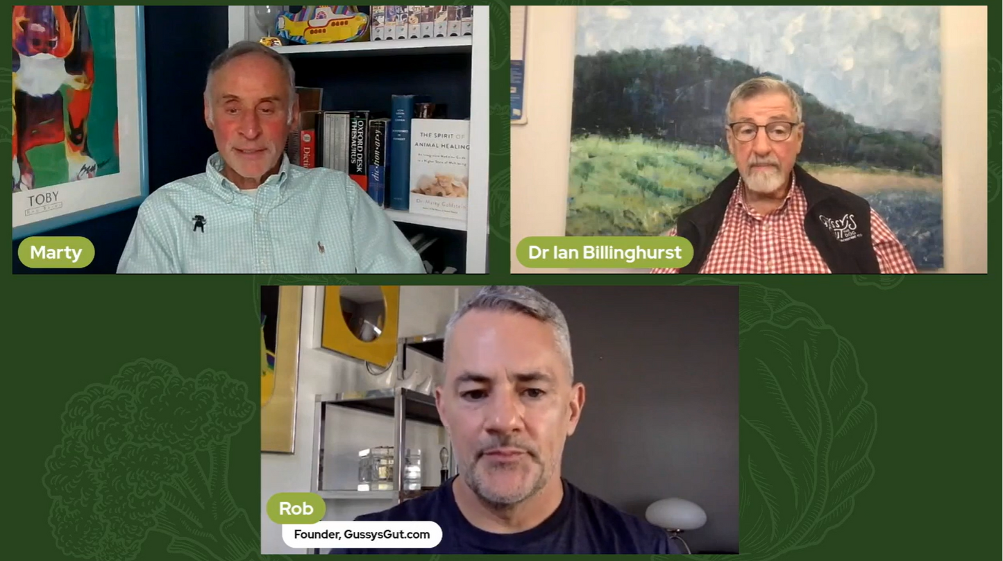 Dr. Marty Goldstein's Journey – Unveiling Truths in Veterinary Medicine, Alternative Healing, and the Science Behind Pet Nutrition