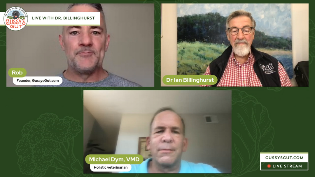 Homeopathy For Pet - A Holistic Approach with Dr. Dym | Dr. ian Billinghurst | Rob Ryan | Gussy's Gut