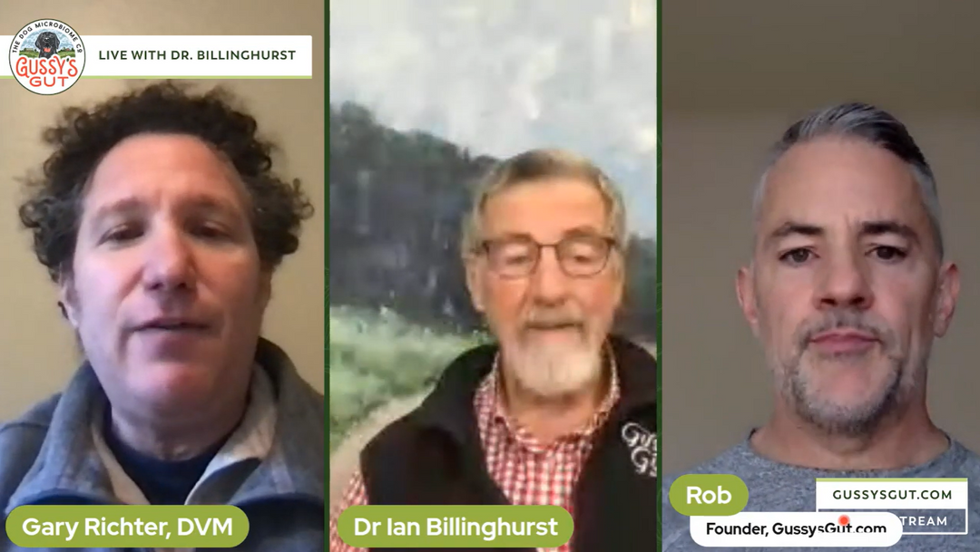Live - Dr. Gary Richter | Dr. Ian Billinghurst and Rob Ryan | founder Gussy's Gut