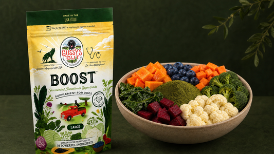 Meet Gussy's Gut Boost: The Ground It Powder