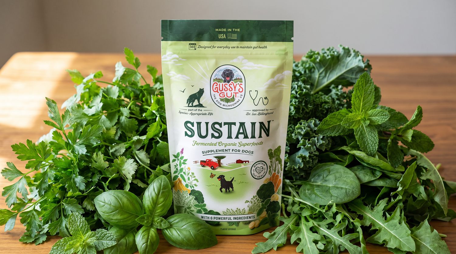 Meet Sustain: The Root It Powder