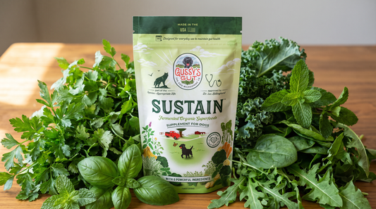 Meet Sustain: The Root It Powder