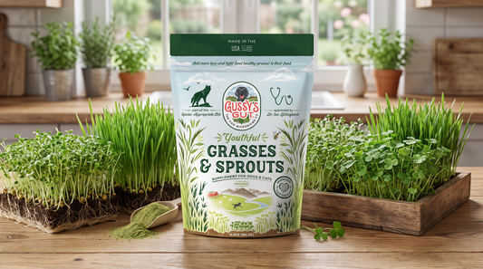 Meet Youthful Grasses & Sprouts: The Optimize It Powder
