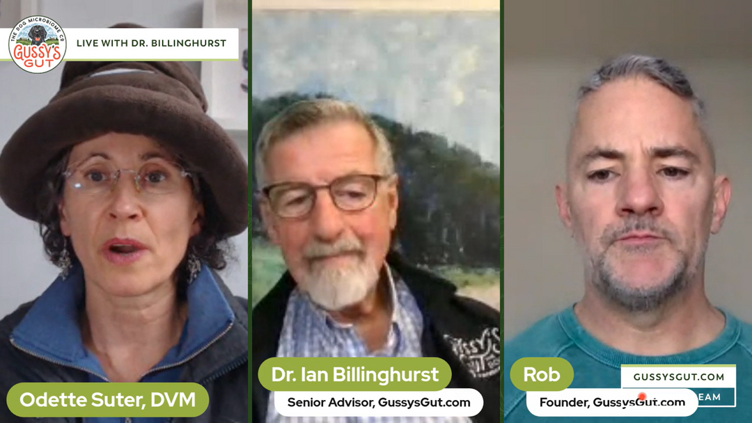 Overusing Probiotics in Our Pets - The Truths and Myths with Dr. Odette Suter, Dr. Ian Billinghurst and Rob Ryan- Gussy's Gut