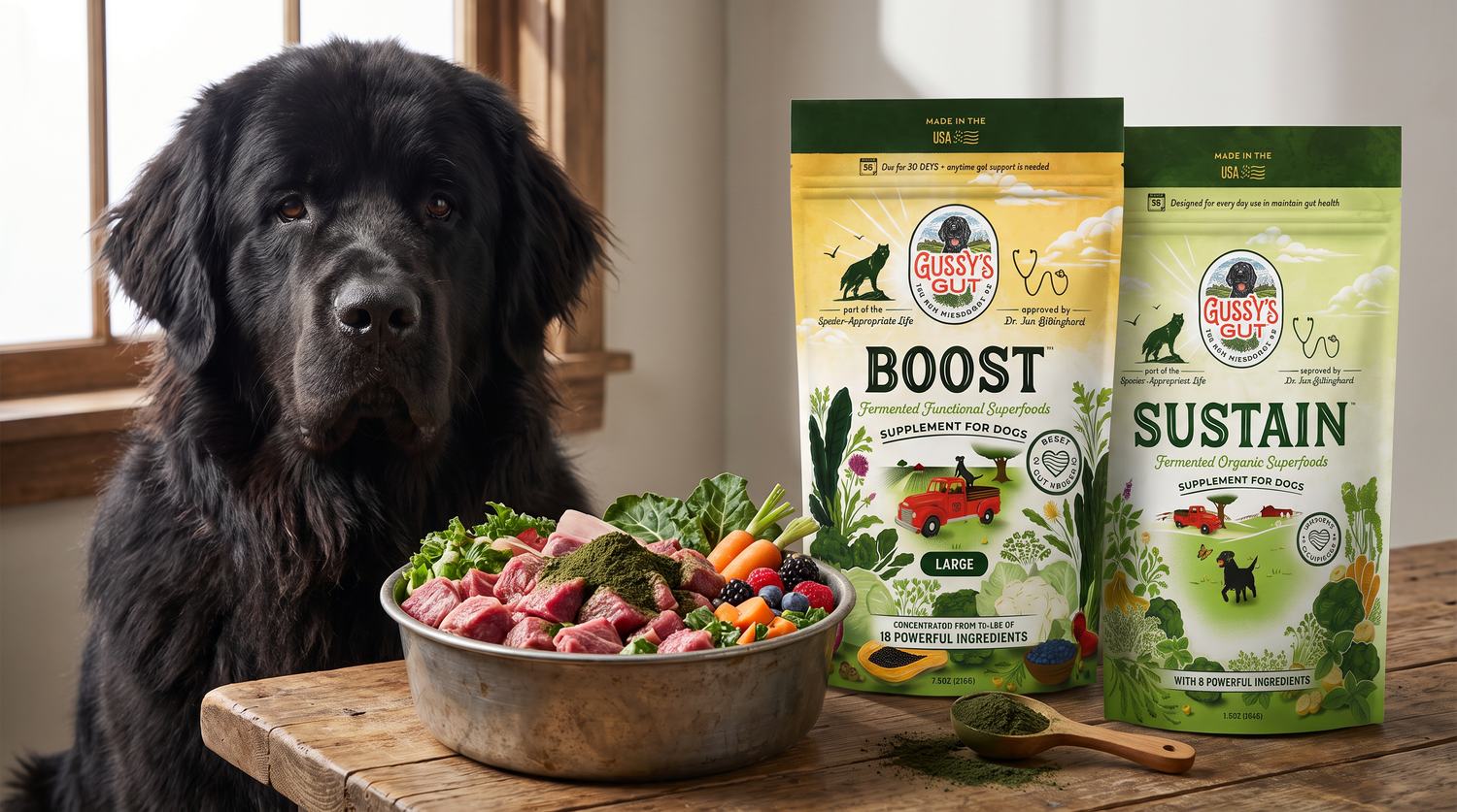 Supplement, Not Dog Food: What the Label Actually Means