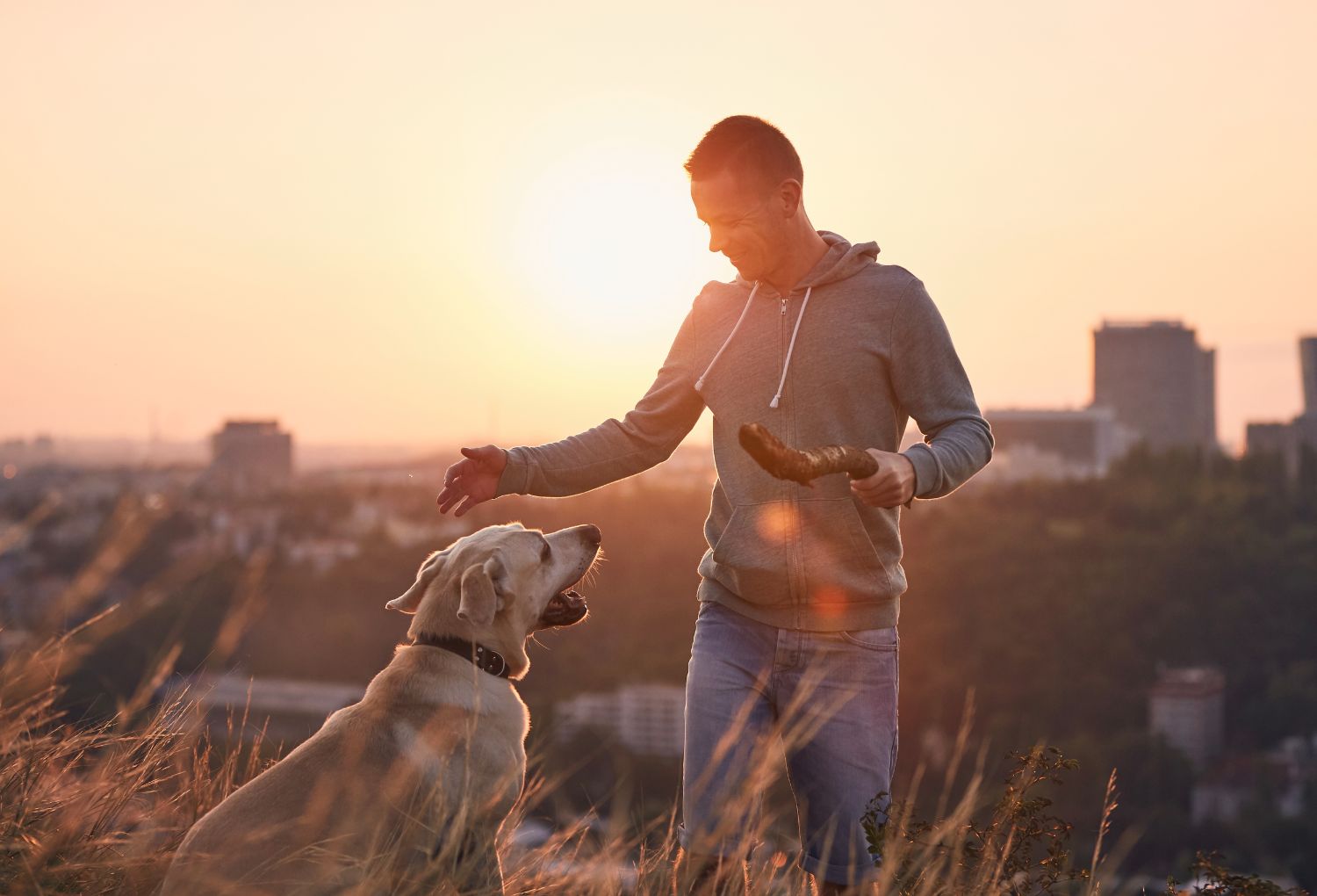 How Daylight Saving Time Affects Dogs (And What Pet Parents Should Kno ...