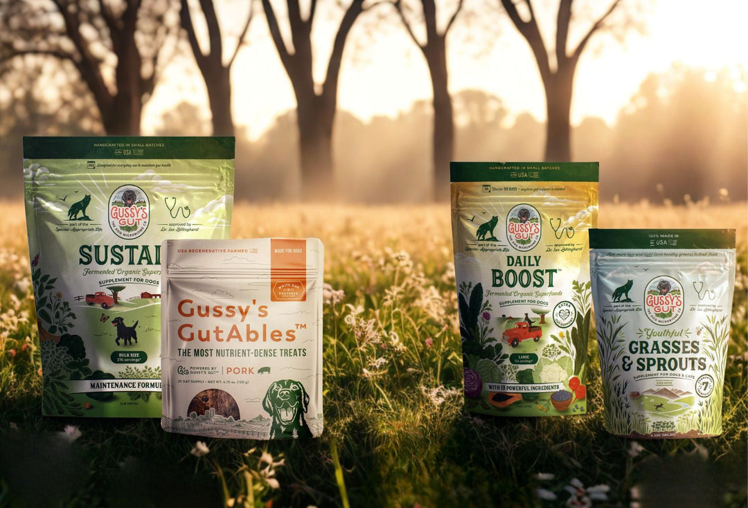 How to Save on Gussy’s Gut Long-Term