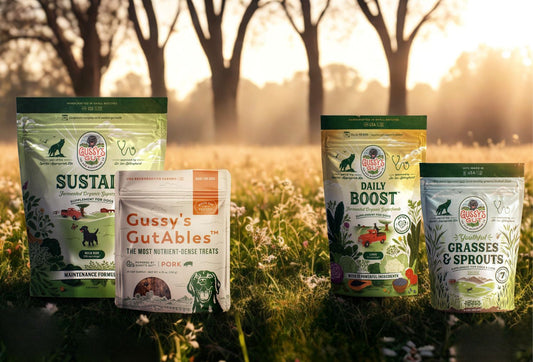 How to Save on Gussy’s Gut Long-Term