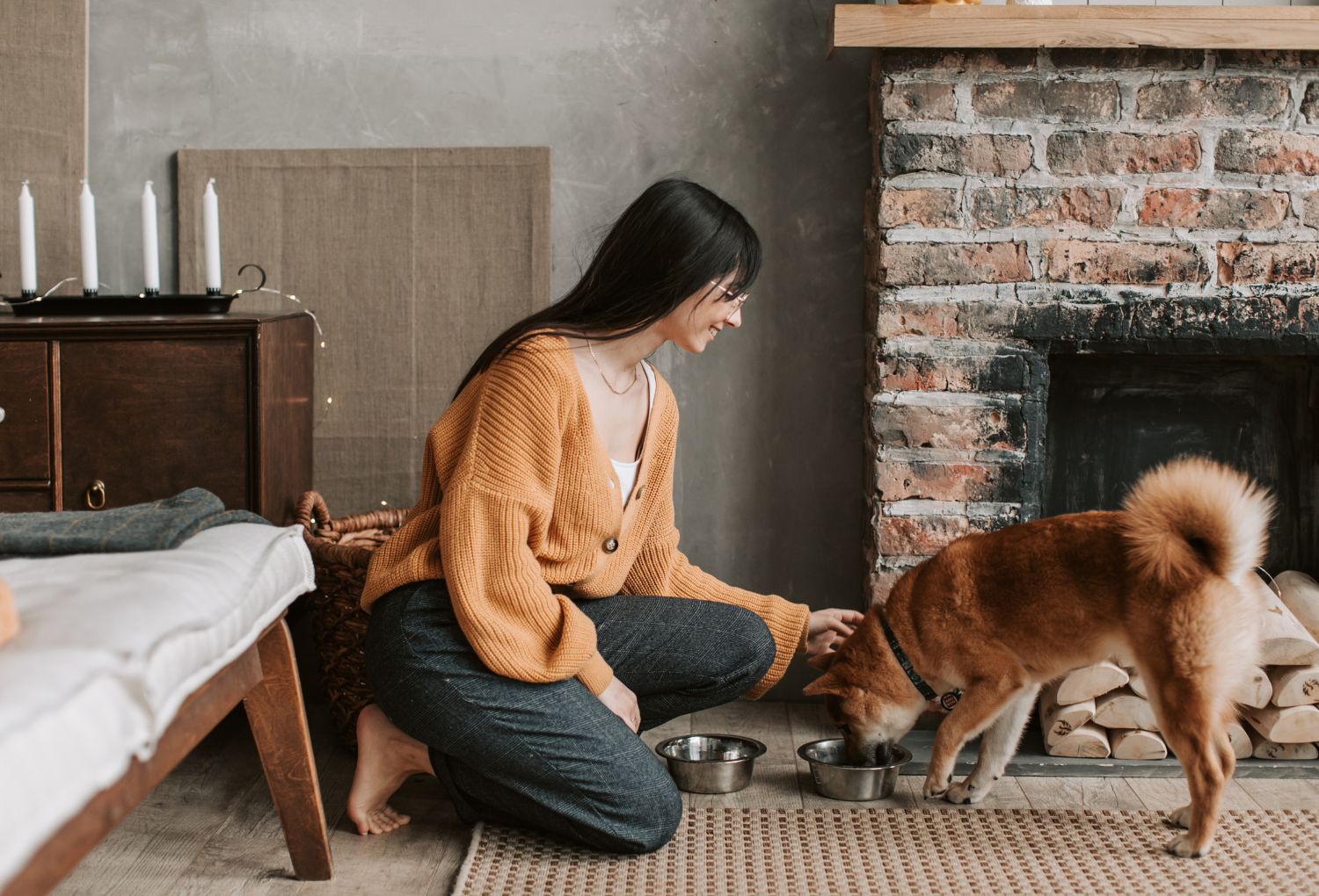 How to Improve Your Dog’s Appetite Naturally (And What to Know First)