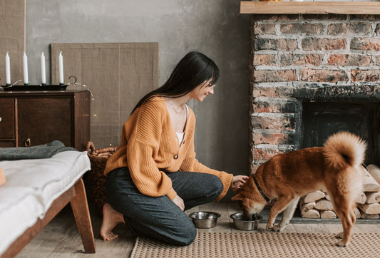 How to Improve Your Dog’s Appetite Naturally (And What to Know First)