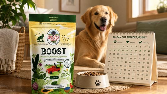 Why 90 Days? The Honest Timeline for a Dog's Gut Reset
