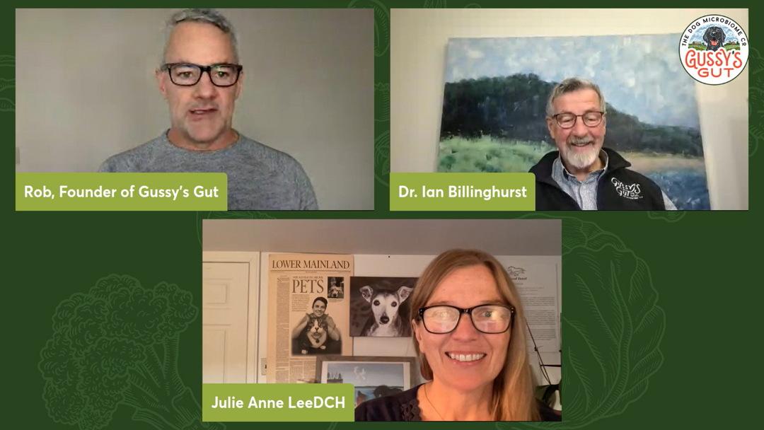 Dog Gut Health: The Wolf-Strain Derived Probiotic? | Julie Anne Lee | Dr. Ian Billinghurst | Rob Ryan | Gussy's Gut