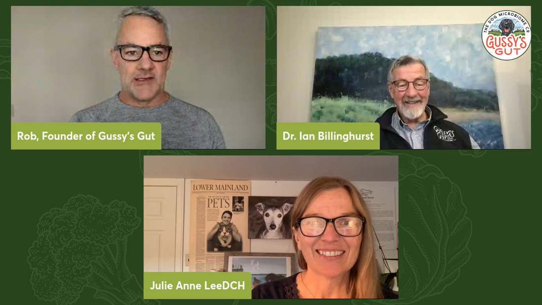 Dog Gut Health: The Wolf-Strain Derived Probiotic? | Julie Anne Lee | Dr. Ian Billinghurst | Rob Ryan | Gussy's Gut