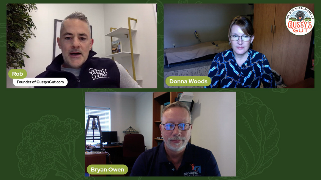 Photonic Health: Light Therapy for Dogs, Cats, & Horses | Bryan Owen | Donna Woods | Rob Ryan | Gussy's Gut