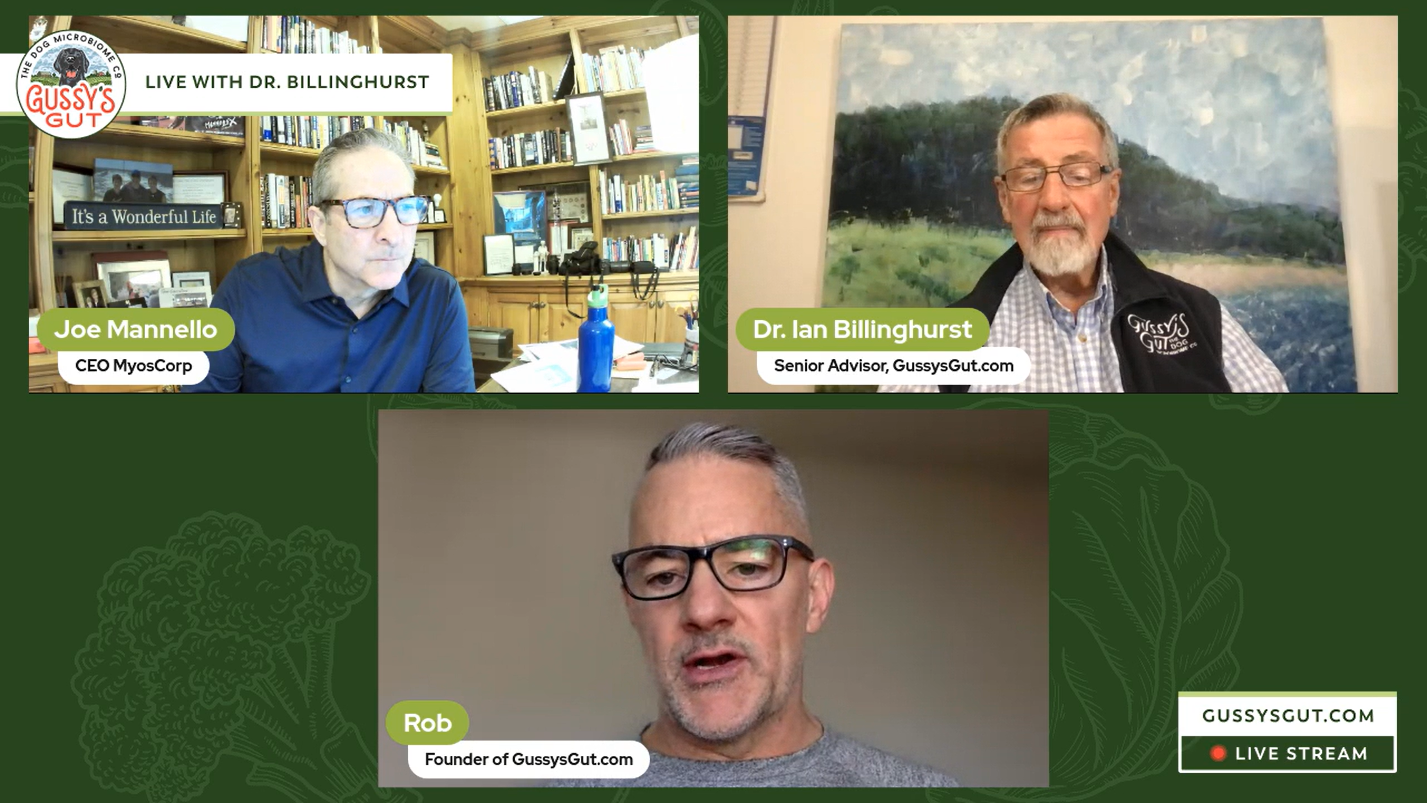 Preventing Senior Dog Muscle Loss with MyosPet CEO | Dr. Ian Billinghurst - Rob Ryan | Joe Mannello | Gussy’s Gut