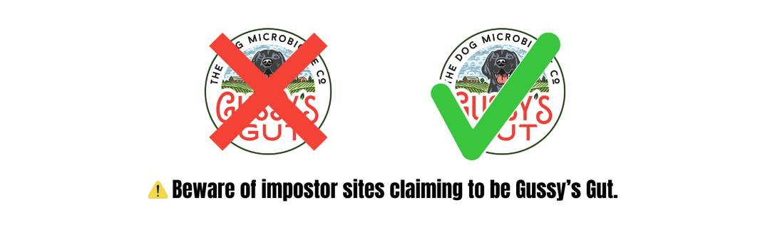 Impostor Web Sites - Beware