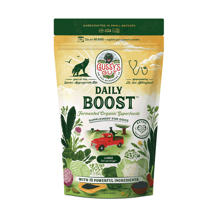 Gussys Gut Daily Boost supplement package for dogs on a white background