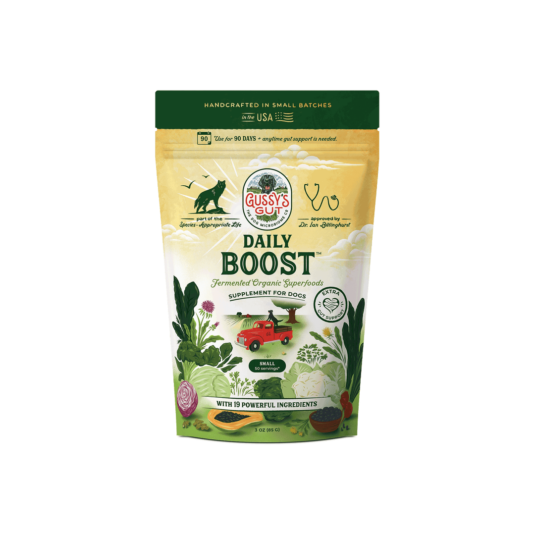 Gussy's Gut Daily Boost supplement package for dogs on a white background
