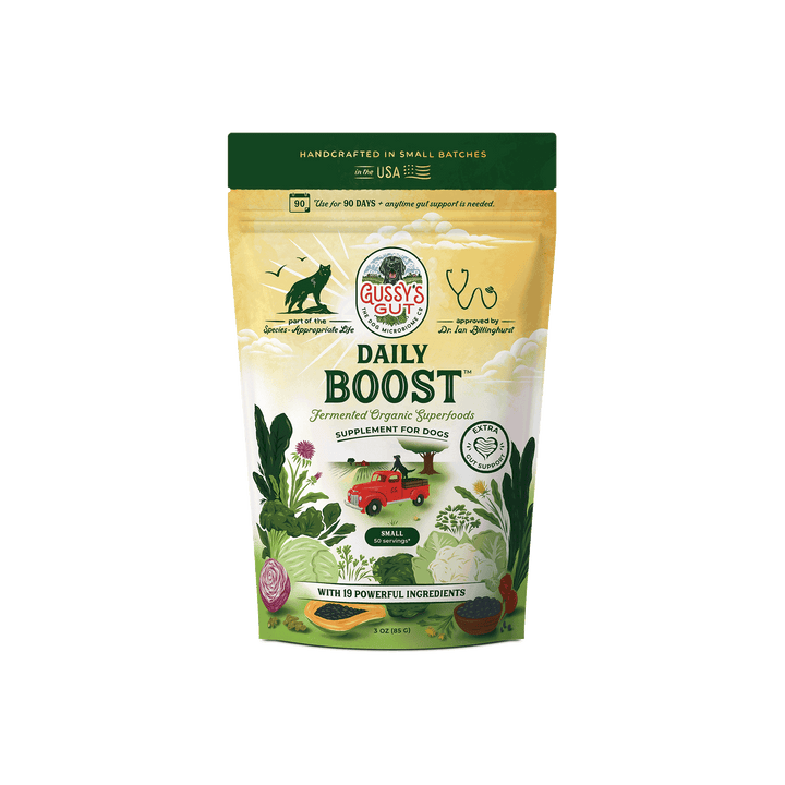 Gussy's Gut Daily Boost supplement package for dogs on a white background