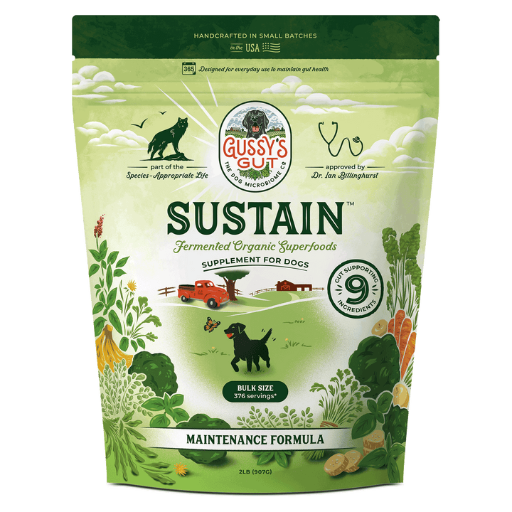 Gussy's Gut Sustain supplement package for dogs on a white background