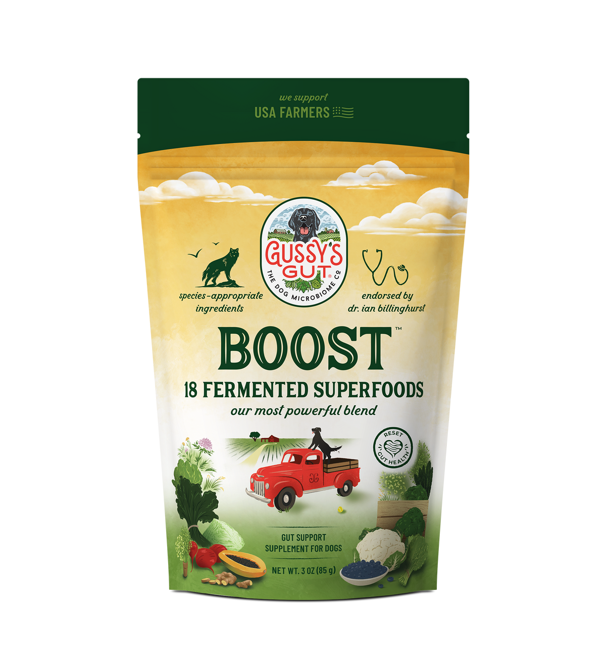 Gussy's Gut Boost™