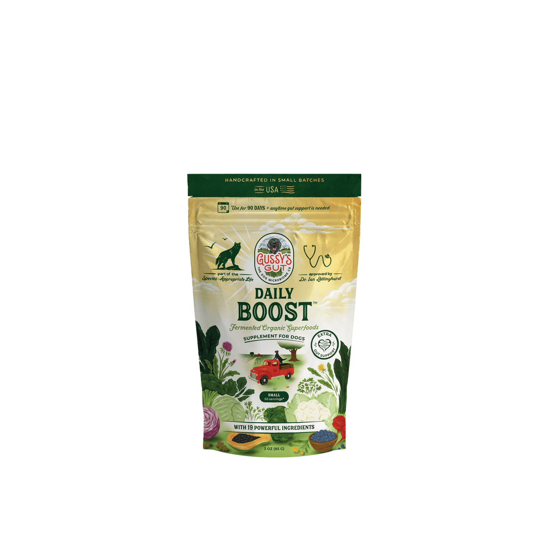 Daily Boost™ supplement bag featuring vibrant packaging with organic ingredients and a focus on health benefits.