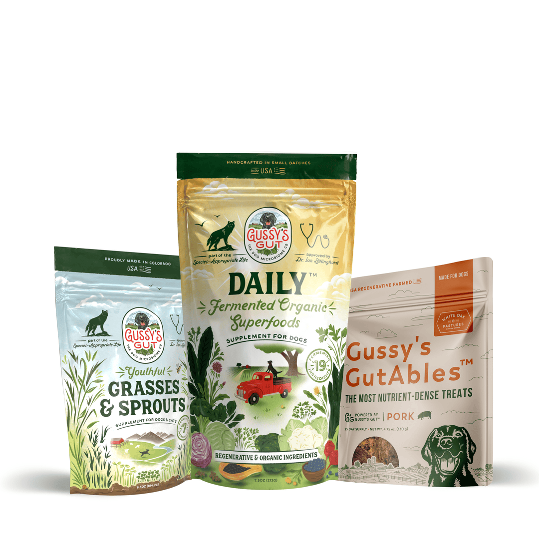 Three Gussy's GutAbles products for dogs, including GutAbles treats, fermented organic superfoods, and grass and sprout supplements.