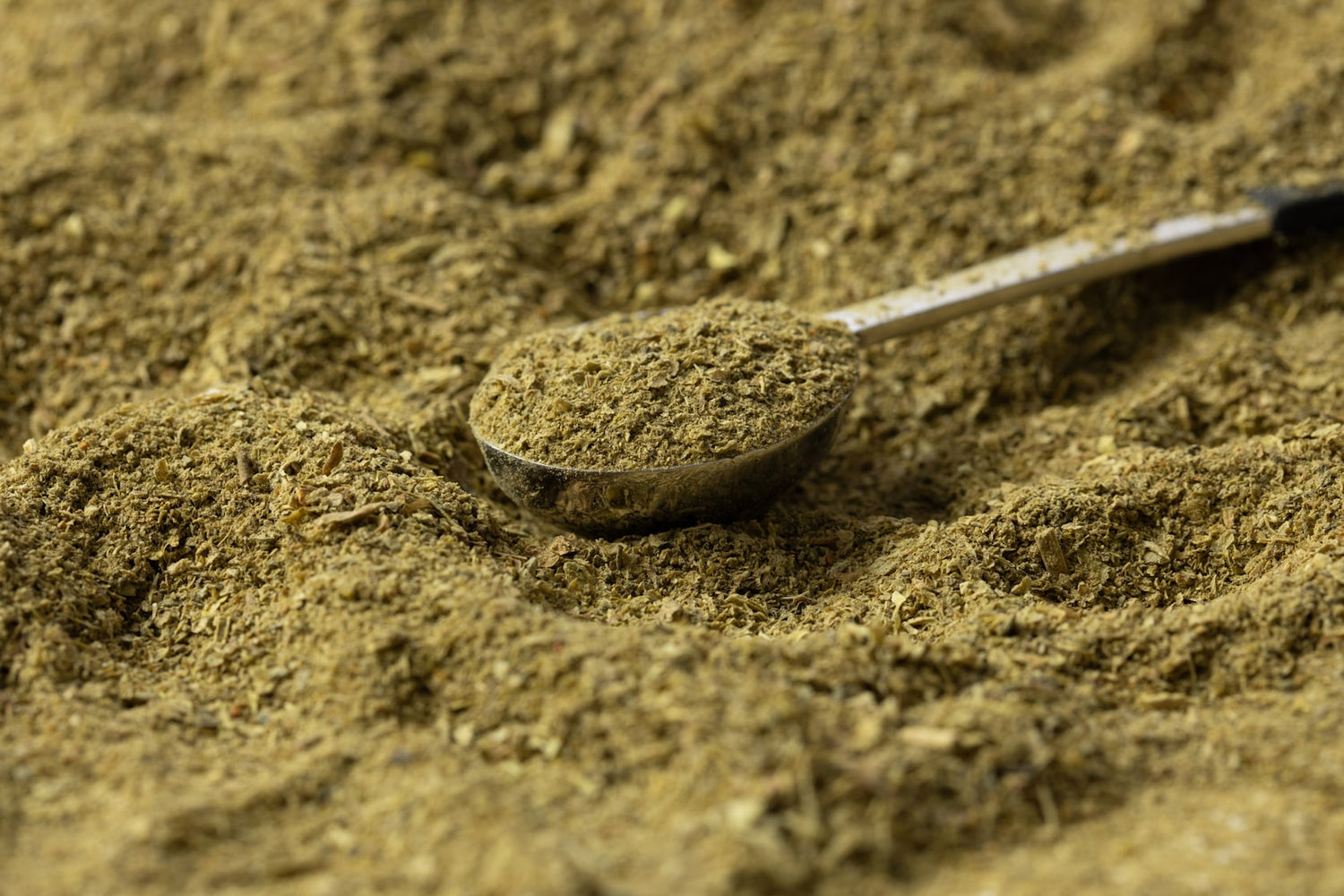 Organic fermented superfood powder for dogs, shown in a scoop on a bed of the same textured, greenish-brown supplement.
