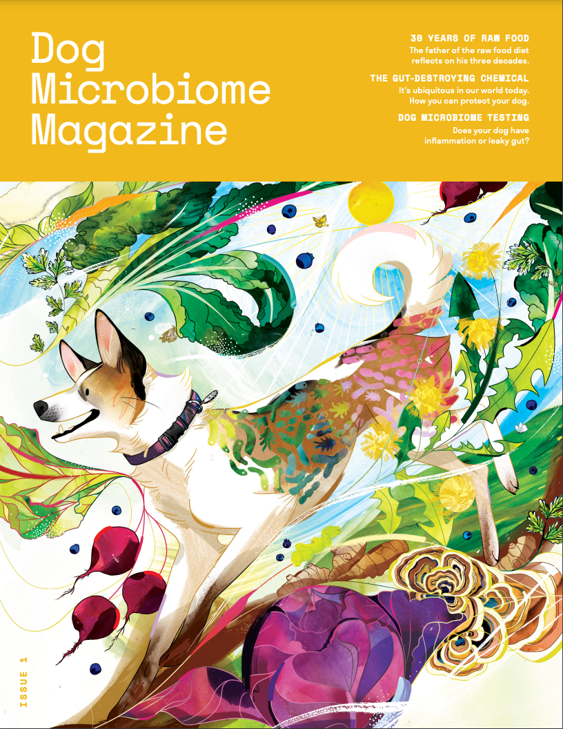 Dog Microbiome Magazine