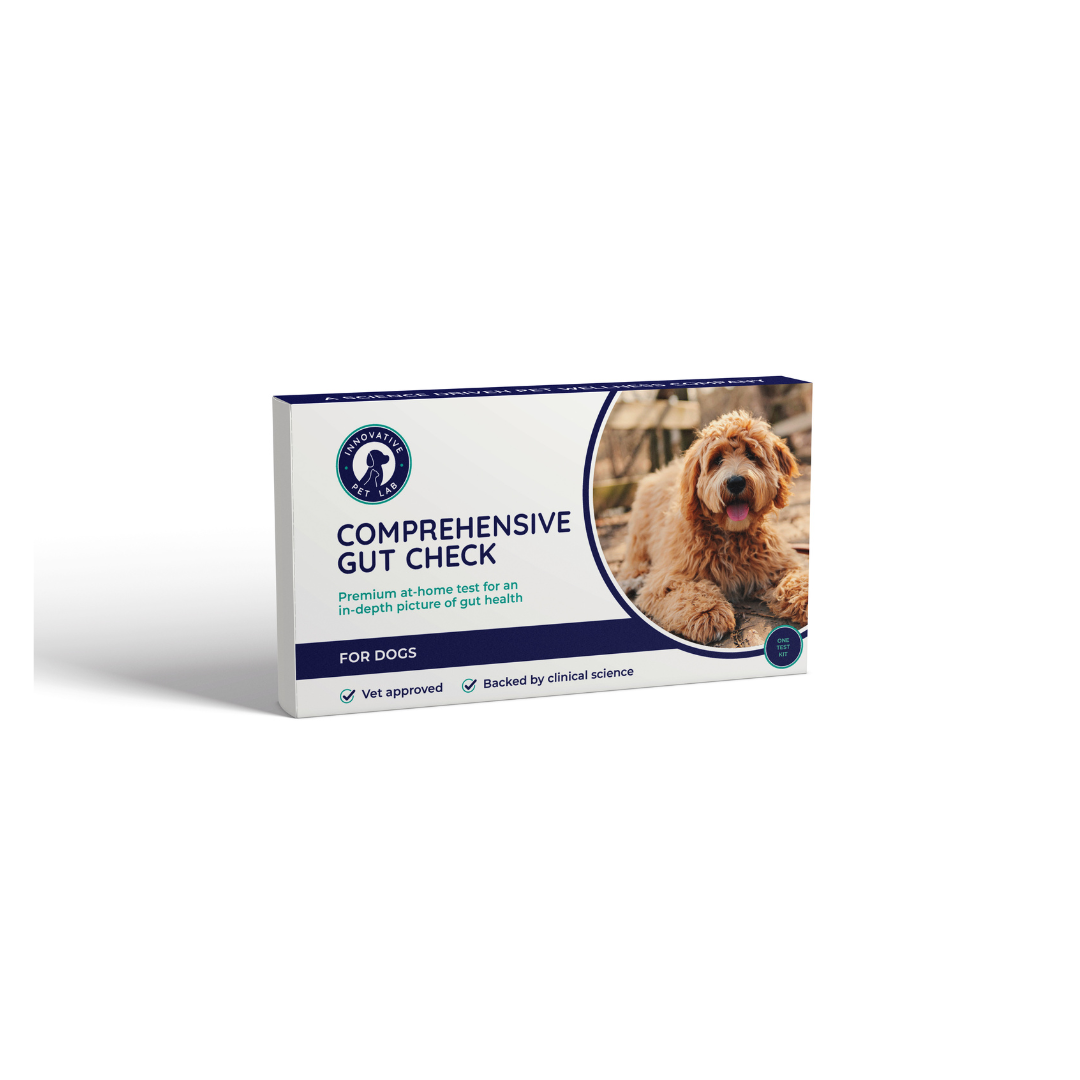 Box of organic fermented superfood supplements for dogs, featuring a happy, fluffy, light brown dog on the packaging.