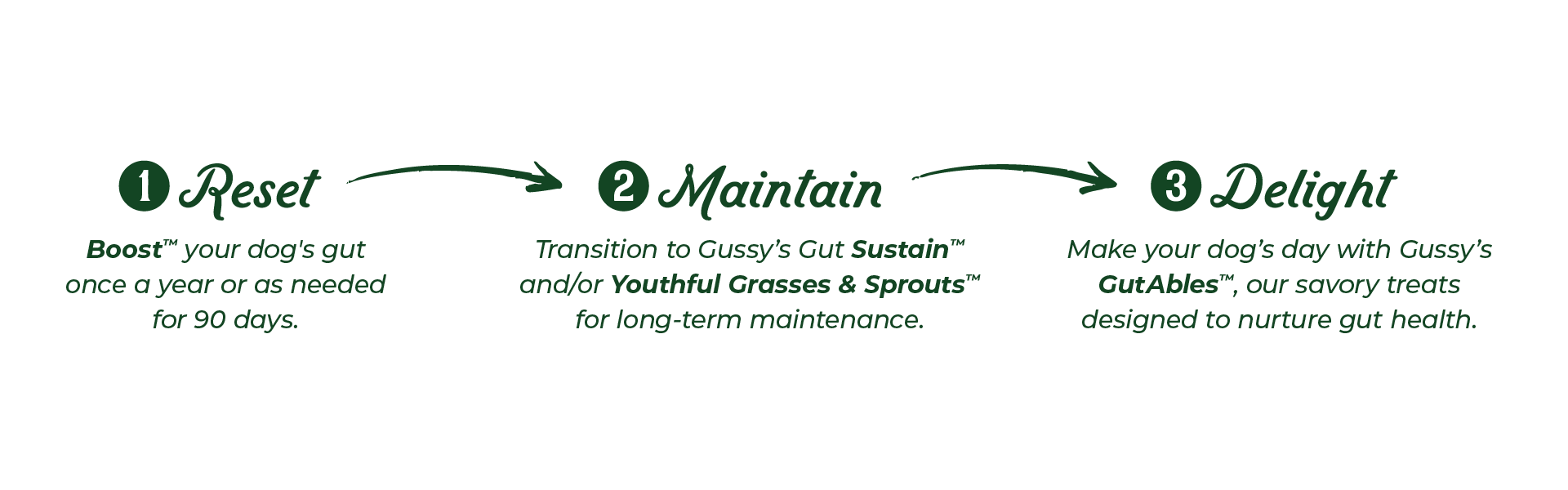 Organic fermented dog treats with green and white packaging, featuring a clean, natural design and product name "Gussy’s G...
