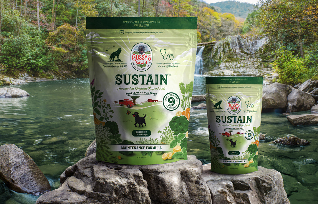 Organic fermented dog supplements in green packaging, supporting gut health with 9+ ingredients, set outdoors by a river.