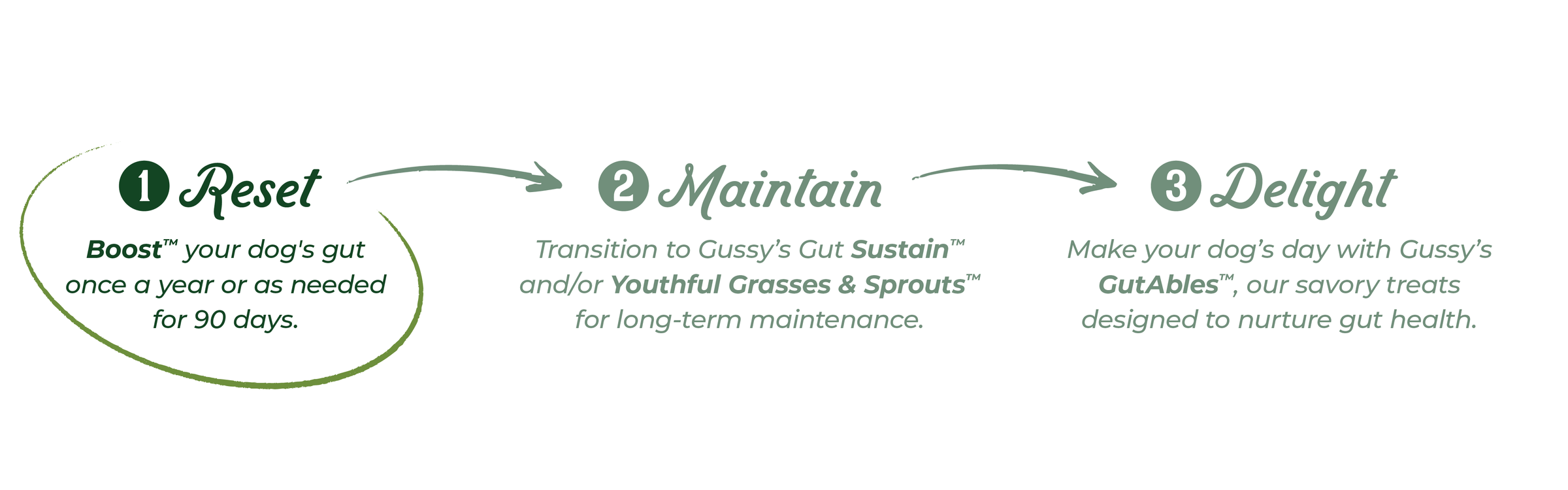 Diagram outlining a 3-step process for supporting dog gut health with organic fermented supplements: Reset, Maintain, and ...