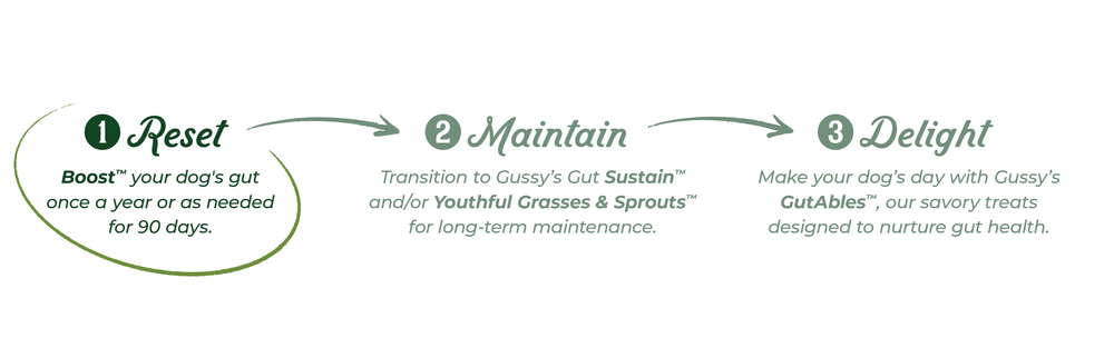 Gussys Gut