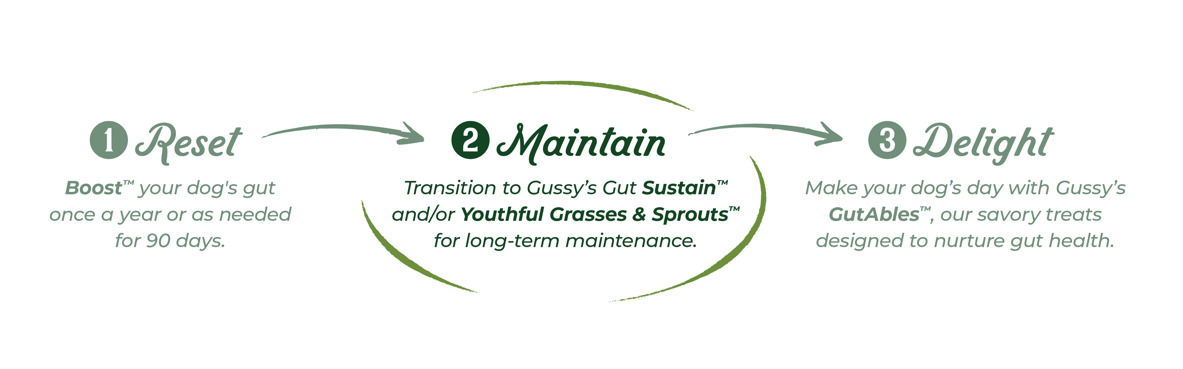 Organic fermented dog treats in green packaging, promoting gut health and overall wellness.