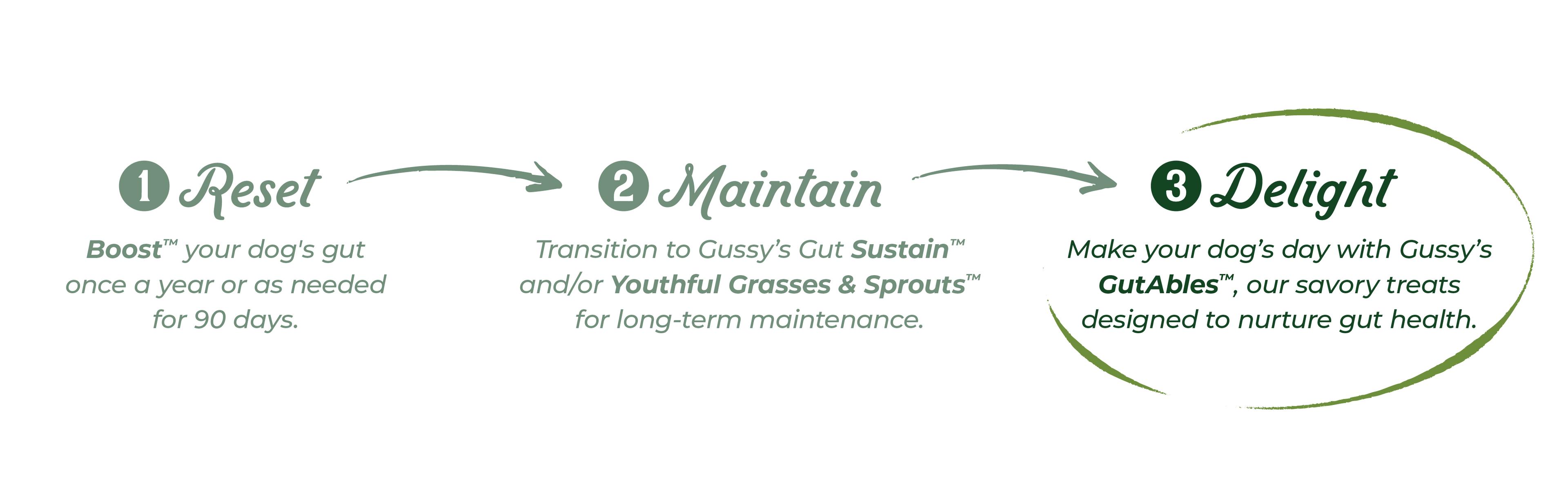 Step-by-step guide to supporting your dog's gut health with organic fermented superfood treats, in green text.